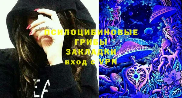 дживик Нязепетровск