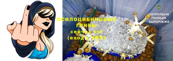 прущий лед Осинники