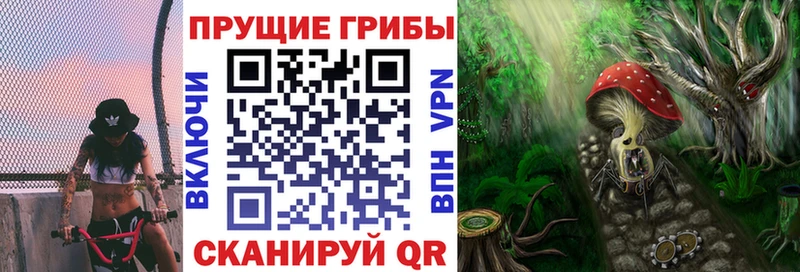 купить наркоту  Артёмовск  Галлюциногенные грибы GOLDEN TEACHER 